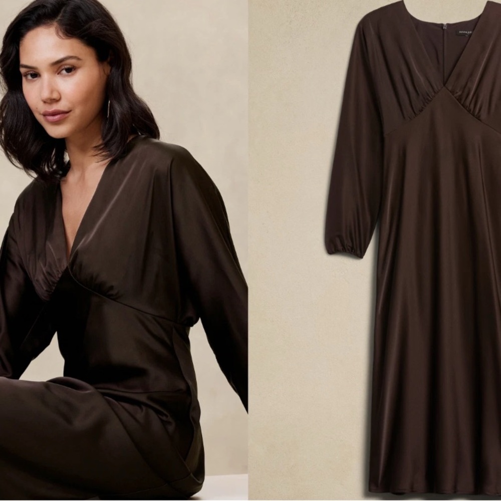 Banana Republic Elegant Chocolate Brown Long Sleeve Dress